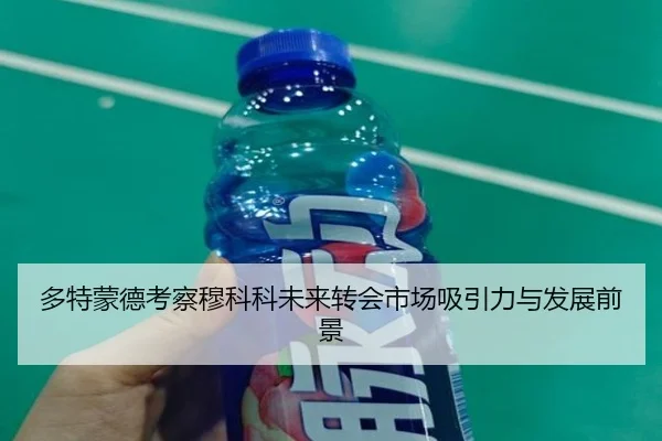 多特蒙德考察穆科科未来转会市场吸引力与发展前景
